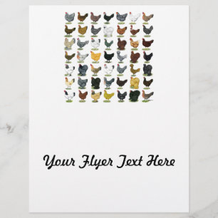 49 Chicken Hens Flyer