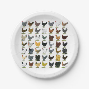 49 Chicken Hens Paper Plate