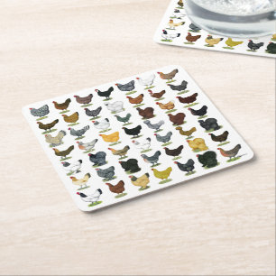 49 Chicken Hens Square Paper Coaster