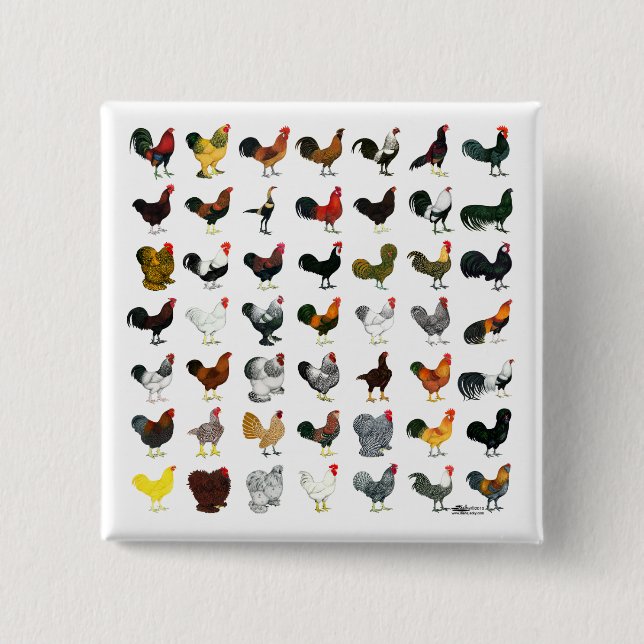 49 Roosters 15 Cm Square Badge (Front)