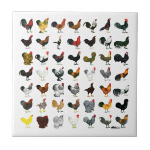 49 Roosters Ceramic Tile