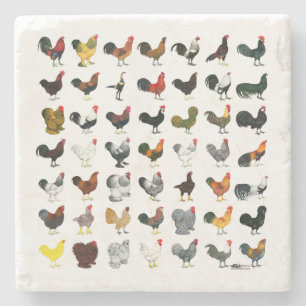 49 Roosters Stone Coaster