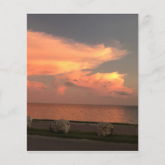 4.5" x 5.6" Flat Paper Sheet