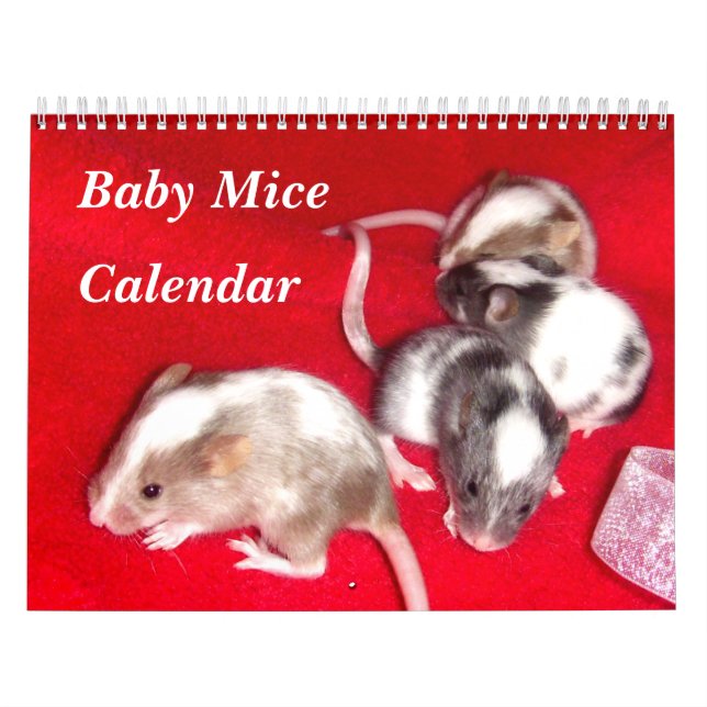 4 Baby Variegated Mice Growing Up Calendar (Cover)