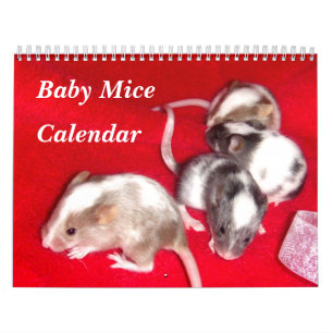 4 Baby Variegated Mice Growing Up Calendar