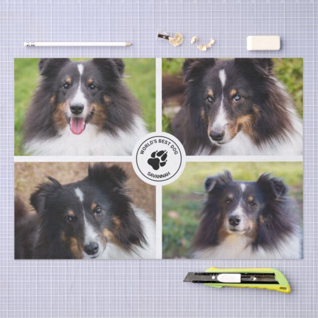 4 Custom Pet Photos Collage Template & Text Tissue Paper (Craft)