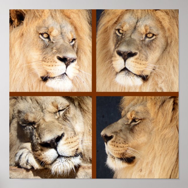 4 Faces of the Lion Poster (Front)