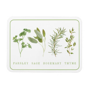 4 FRESH HERBS 3x4 Flexible Magnet