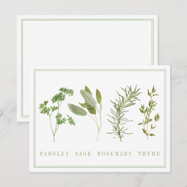 4 FRESH HERBS Postcard (Front/Back)