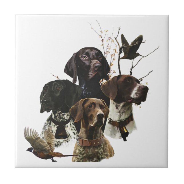 4 German Shorthaired Pointer Colours  Ceramic Tile (Front)