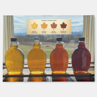 4 Grades of Maple Syrup Magnet