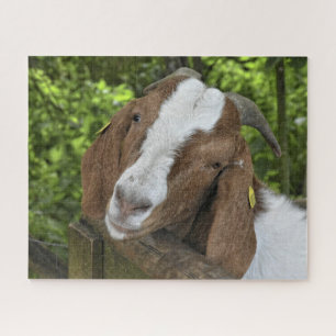 4-H Boer Goat Farm Jigsaw Puzzle