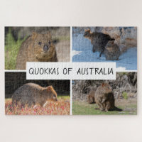 4-in-1 Quokka of Australia Animal, 1014 pieces