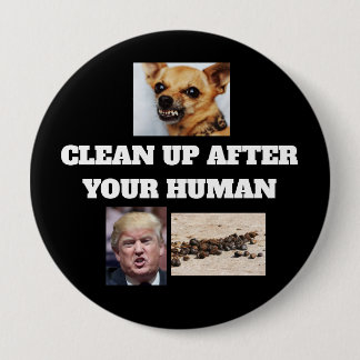 4 inch Button
