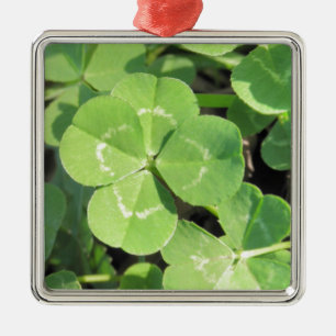 4 Leaf Clover Good Luck Charm Photo Metal Tree Decoration