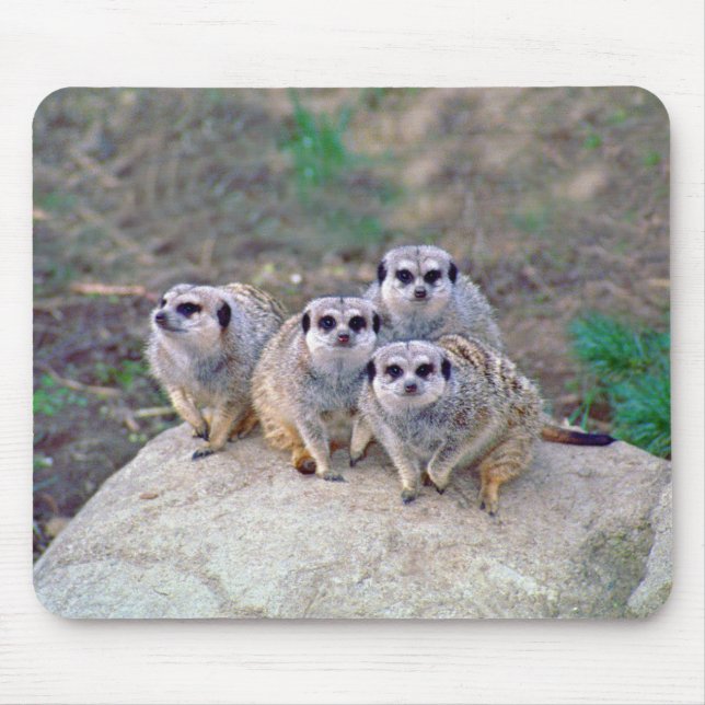 4 Meerkats Peering Mousepad (Front)