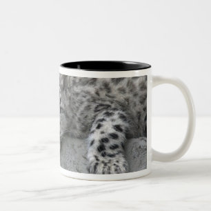 4 month old Snow leopard cub draped over a rock Two-Tone Coffee Mug