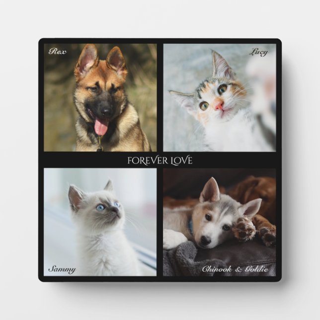 4 Photo Pet Collage, Black Frame, Caption - Square Plaque (Front)