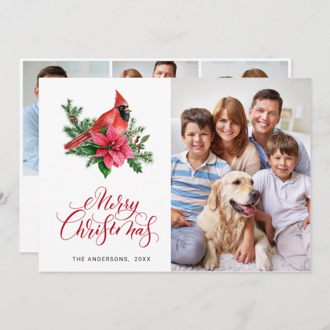 4 PHOTO Poinsettia Red Cardinal Christmas Greeting Holiday Card (Front/Back)