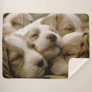 4 PUPPIES SHERPA BLANKET