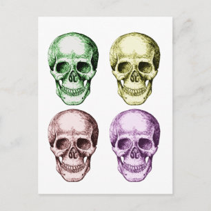 4 Skulls Face Colours Postcard