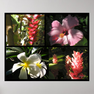 4 Tropical Flowers 4 Enchantment Poster Prints