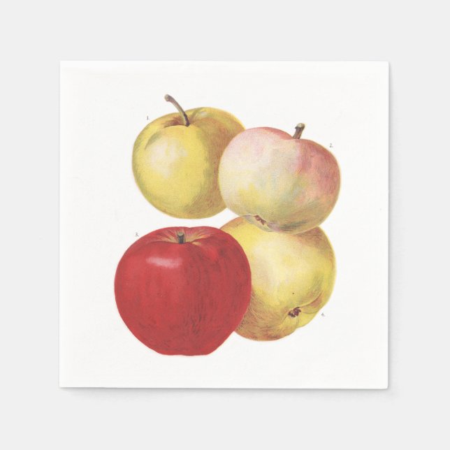 4 vintage apples illustrated napkin (Front)