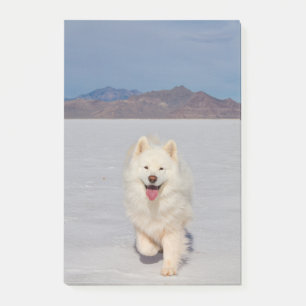 4"x6" Post-it Notes - Salt Flats