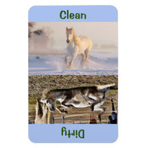 4" x 6" Clean/Dirty Horse Photo Dishwasher