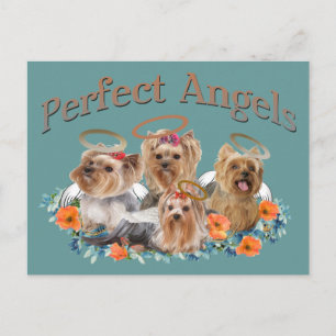 4 Yorkie Perfect Angels gifts Postcard