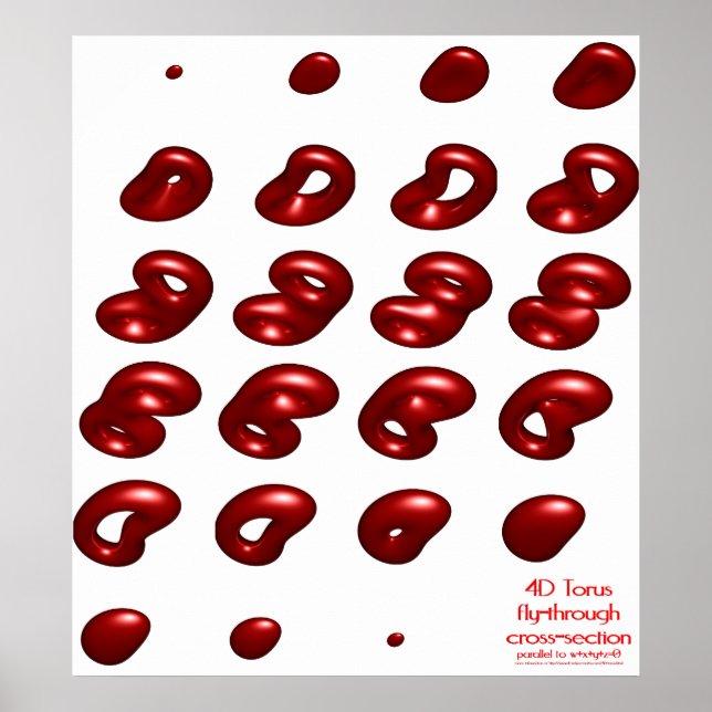 4d torus fly-through cross-section poster (Front)