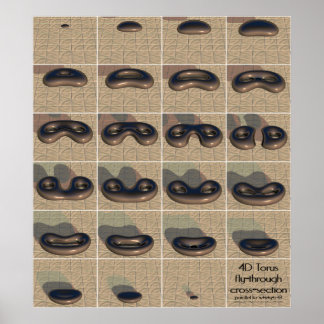 4D torus fly-through cross-section Poster