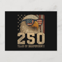4th July American Flag Eagle Vintage 250 Years 177