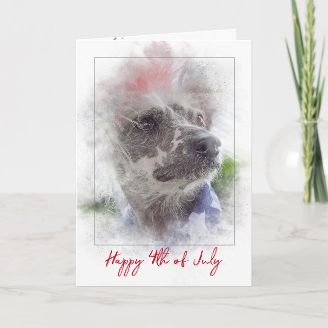 4th of July-Chinese Crested Hairless dog Card (Front)