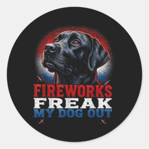 4th Of July Fireworks My Dog Out Classic Round Sticker