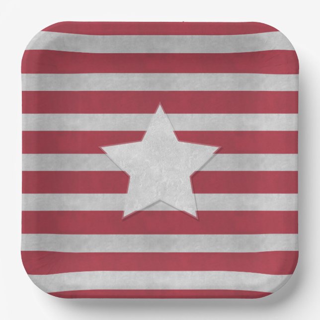  4th of July  Paper Plate (Front)