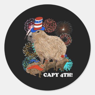4th Of July Patriotic Fireworks Capy Fourth Funny Classic Round Sticker