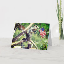 "4th of July!" Patriotic Squirrel Holiday Card