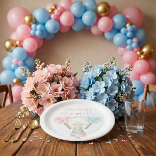 4th of July Pink or Blue Gender Reveal Paper Plate