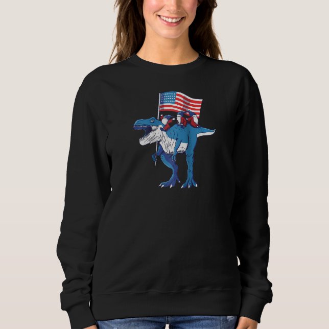 4th Of July T Rex Dinosaur Amerisaurus Gnomes Boys Sweatshirt (Front)