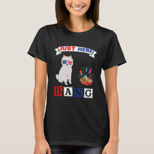4th Of July Usa Flag Fireworks American Eskimo Do T-Shirt