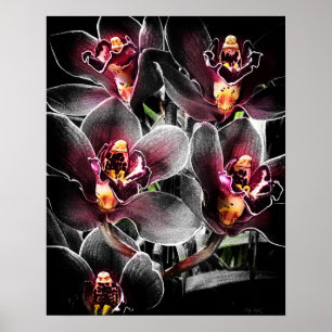 4x5 Ratio Black Orchid Print Img5459