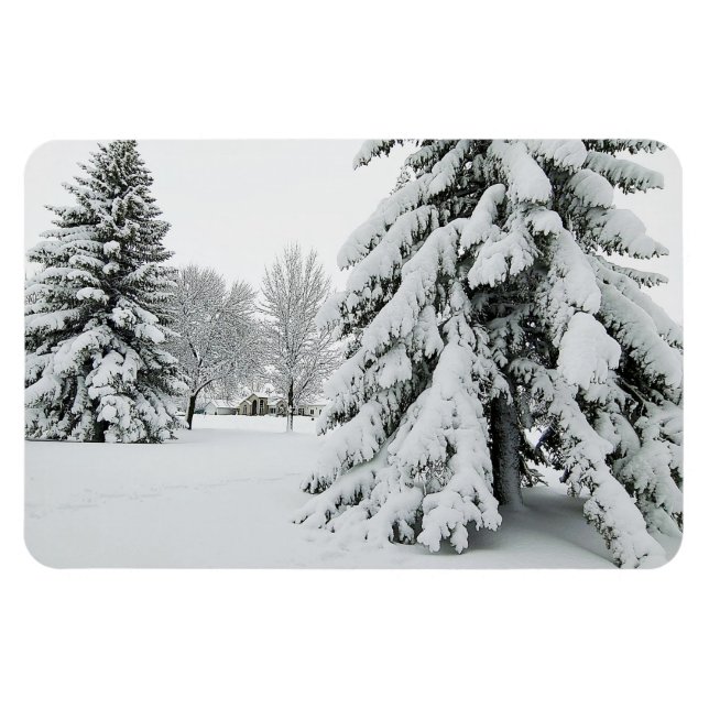 4x6 Flat Magnet (Horizontal)