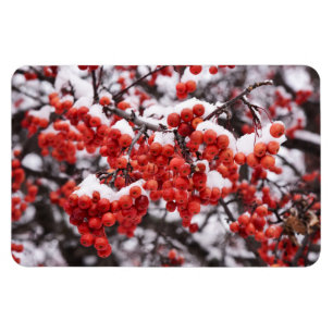 4x6 Flat Magnet