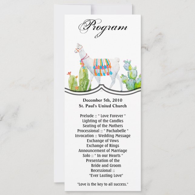 4x9.25 Program Cards Boho Llama Bohemian Cacti Des (Front)