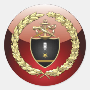 [500] SWCC: LTJG Special Edition Classic Round Sticker