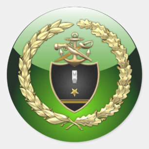 [500] SWCC: LTJG Special Edition Classic Round Sticker