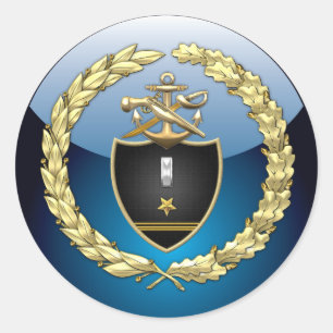 [500] SWCC: LTJG Special Edition Classic Round Sticker