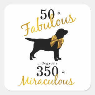 50 and Fabulous - Dog Years - Labrador Black Gold Square Sticker