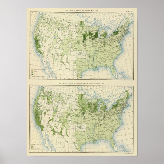 50 Barley 1890 Poster (Front)